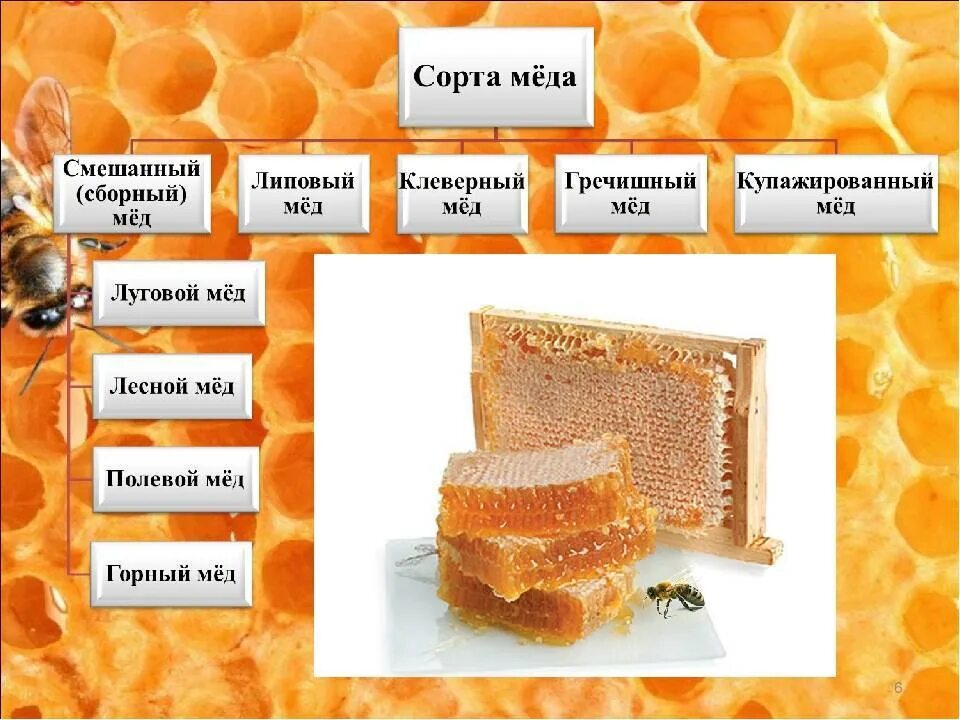 Мед виды названия и фото и описание Какие есть виды меда