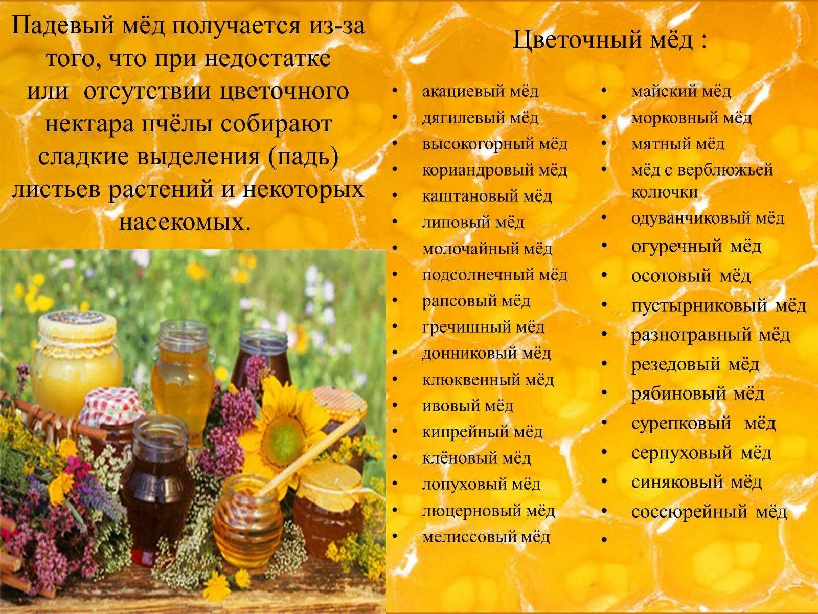 Мед виды названия и фото и описание Какой мед самый полезный для женщин eCookie.ru