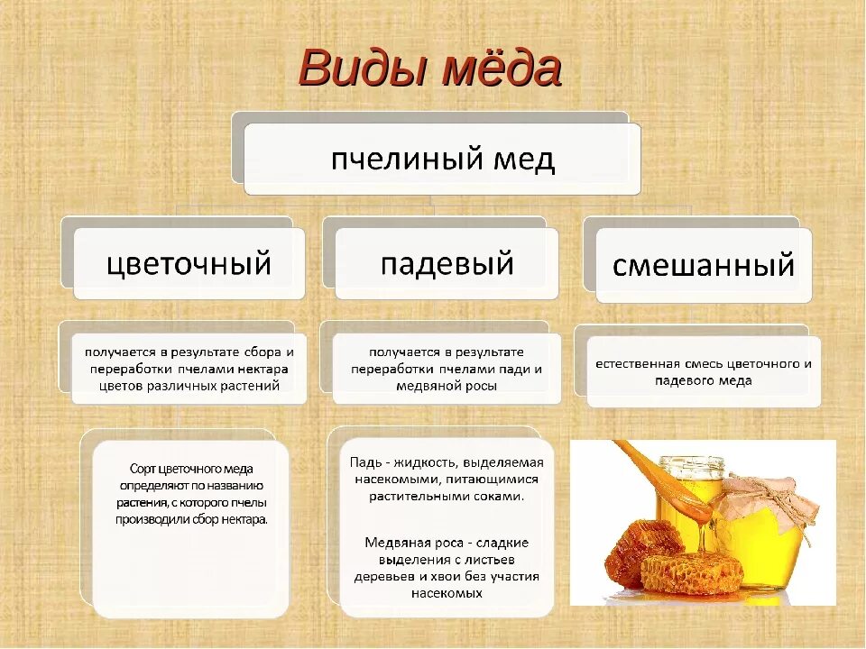 Мед виды названия и фото и описание Какие виды меда существуют eCookie.ru
