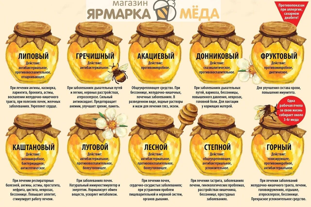 Мед виды названия и фото и описание Сорта меда описание