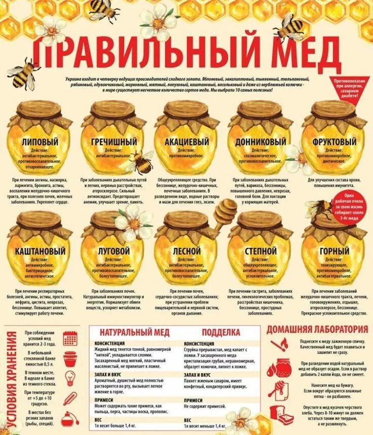 Мед виды названия и фото и описание Пин на доске Здоровое питание
