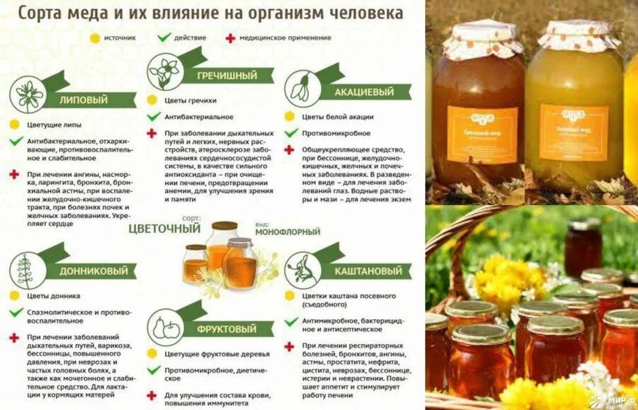 Мед виды названия и фото и описание Важно знать! Какой бывает мед? ЦВЕТОЧНЫЙ МЁД - продукт переработки пчелами некта