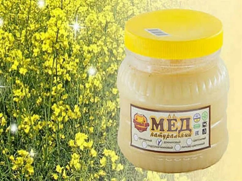 Мед желтый донник фото Мед донниковый полезные свойства какой он на вкус и цвет eCookie.ru
