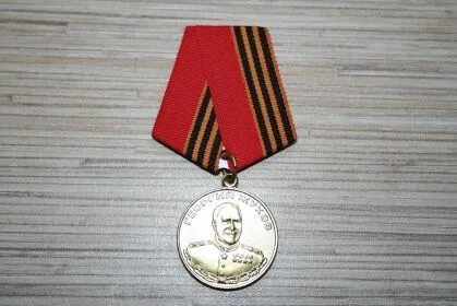 Медаль жукова фото с двух сторон Бессмертный полк. Воронеж. Ширяева Мария Андреевна