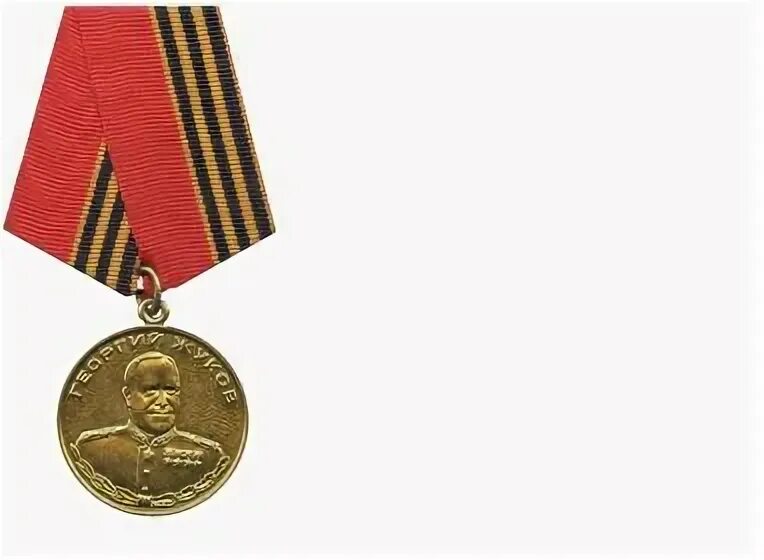 Медаль жукова фото с двух сторон Бессмертный полк. Муром. Голубев Александр Дмитриевич