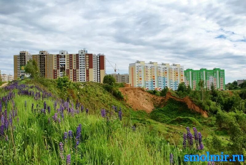 Медекс 21 микрорайон королевка смоленск фото Аптека Королевка 21 Смоленск Телефон - Planet-zdarovya.Ru