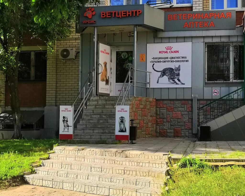 Медхэлп ул генерала лизюкова 66а воронеж фото Panorama: Vetcentr Irbis, veterinary clinic, Россия, Воронеж, улица Генерала Лиз