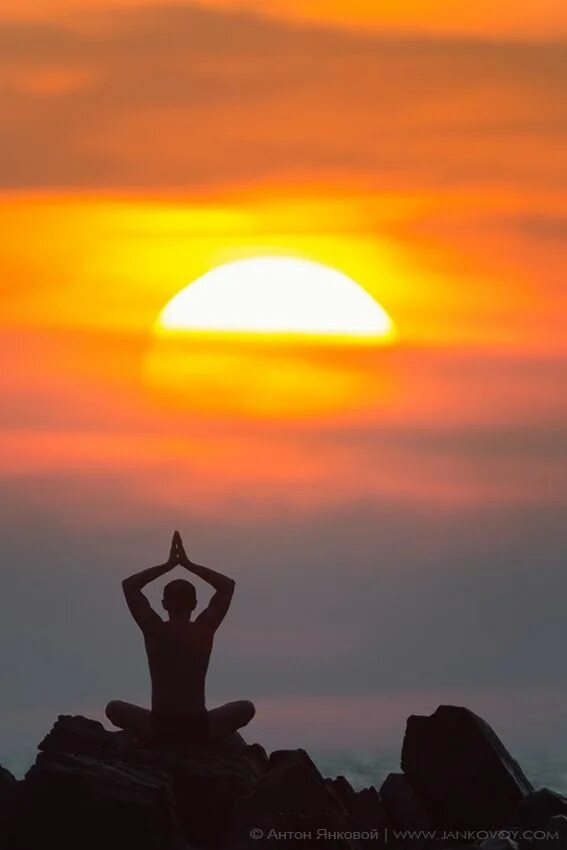 Медитация на восходе солнца фото Pin by Brian Field on Yoga in 2019 Yoga, Goa india, Photography