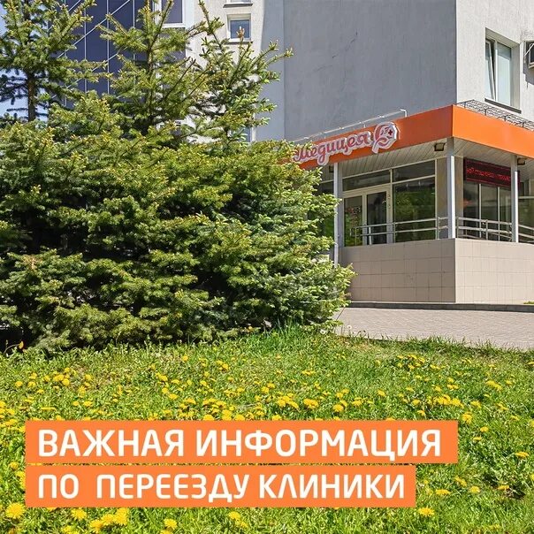 Медицея ул шумайлова 20а ижевск фото Медицея широкий