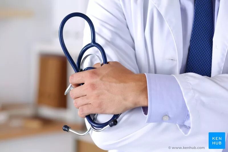 Медицинские услуги фото How to Become a Physician Assistant (PA): Requirements Kenhub