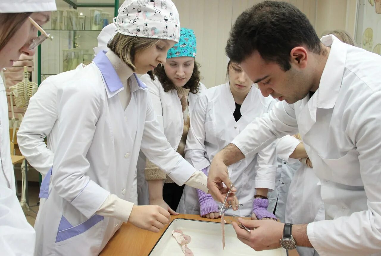 Медицинский класс фото В Тюменской области открылись новые медицинские классы Вслух.ru