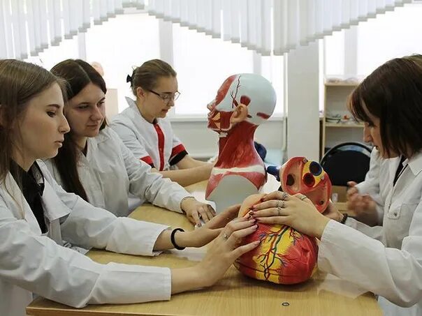 Медицинский класс фото Белгородские власти намерены заняться карьерой школьников-медиков персонально Дл