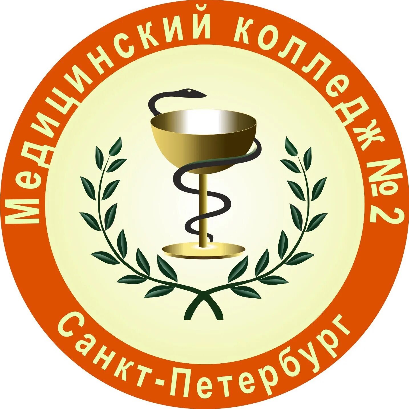 Медицинский колледж 2 санкт петербург фото Медицинский педагогический колледж