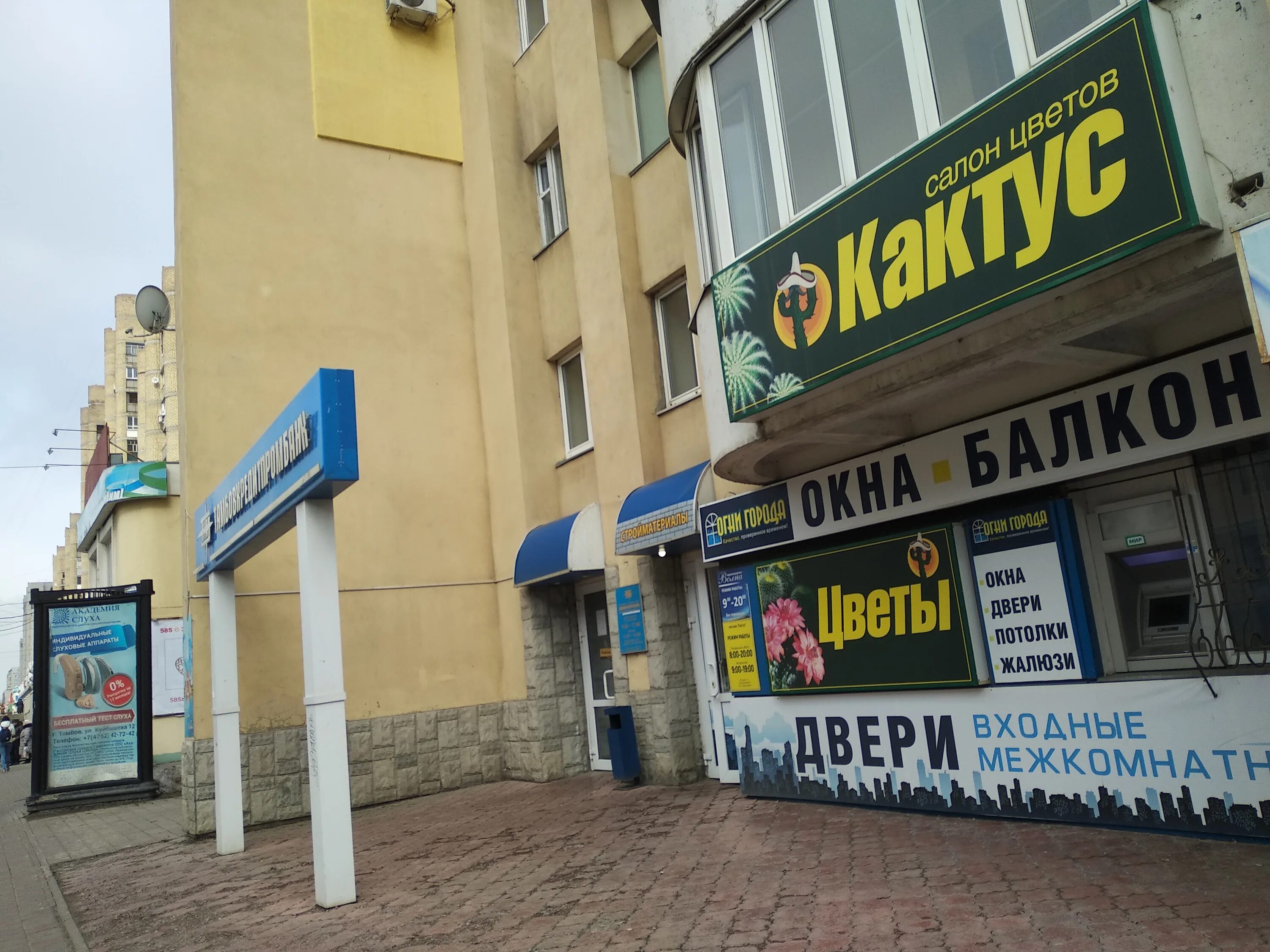 Медлаб c ул куйбышева 12 тамбов фото Фото: Кактус, магазин цветов, ул. Куйбышева, 12, Тамбов - Яндекс Карты