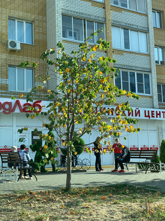 Медлаб ул победы 7 микрорайон московский фото Медлаб, медцентр, клиника, ул. Победы, 7, микрорайон Московский, Тамбов - Яндекс