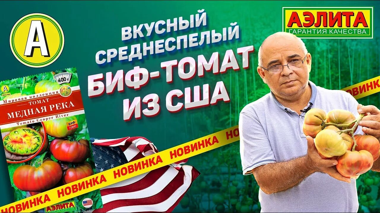 Медная река томат описание фото отзывы АМЕРИКАНЕЦ. Биф Томаты: Новый Сорт Медная Река - YouTube