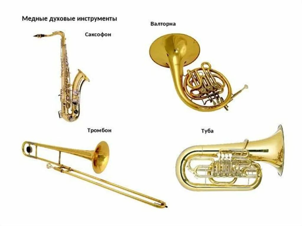 Медно духовые инструменты фото Перчатки с полимерным покрытием - CormanStroy.ru
