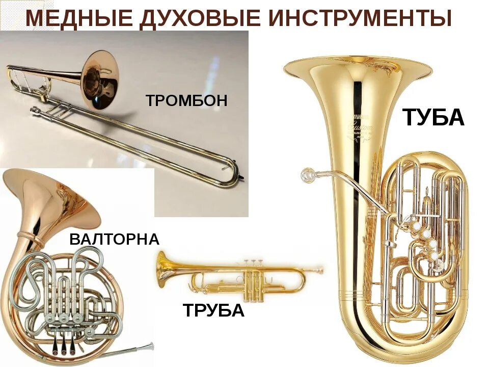 Медно духовые инструменты фото Картинки КАКИЕ ИНСТРУМЕНТЫ ОТНОСЯТСЯ К МЕДНЫМ ДУХОВЫМ
