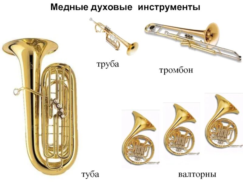 Медно духовые инструменты фото Картинки СПИСОК МЕДНЫХ ДУХОВЫХ ИНСТРУМЕНТОВ