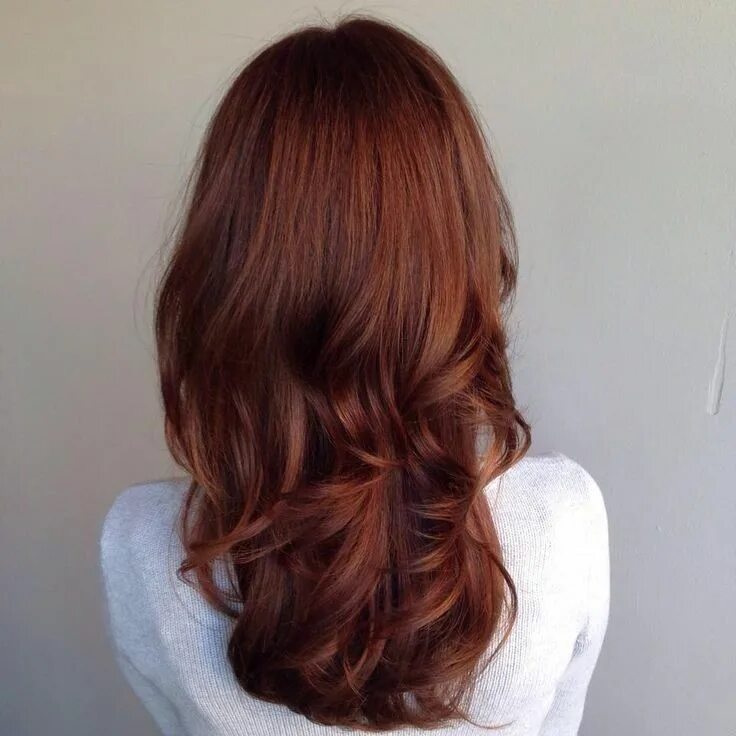 Медно коричневые волосы фото Kastanjebruin haar neigend naar rood Hair color auburn, Colored hair tips, Light