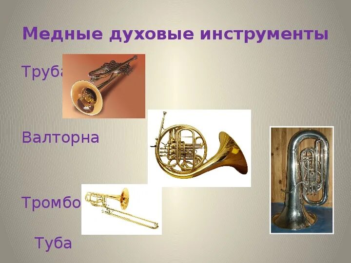 Медные духовые инструменты названия и фото Презентация "Музыкальные инструменты симфонического оркестра"