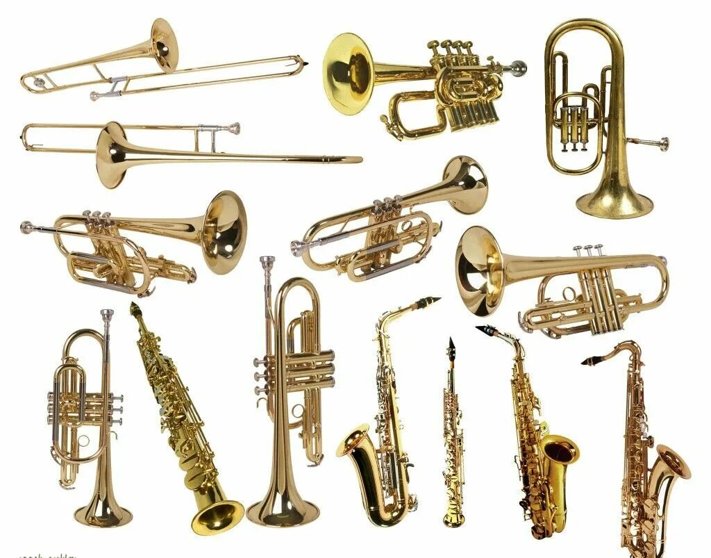 Медные духовые инструменты названия и фото Pin by Elizebeth Overton on Band ideas in 2022 Band memes, Musical instruments, 