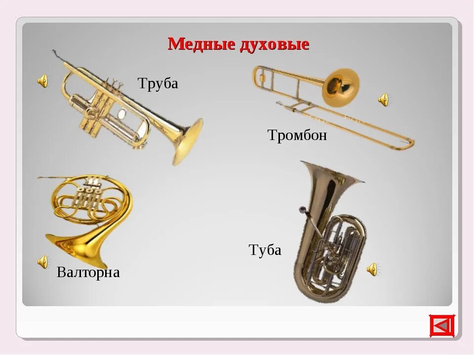 Медные духовые музыкальные инструменты названия и фото ДЕТСКАЯ ШКОЛА ИСКУССТВ № 3 Г. МЫСКИ Галерея Альбом