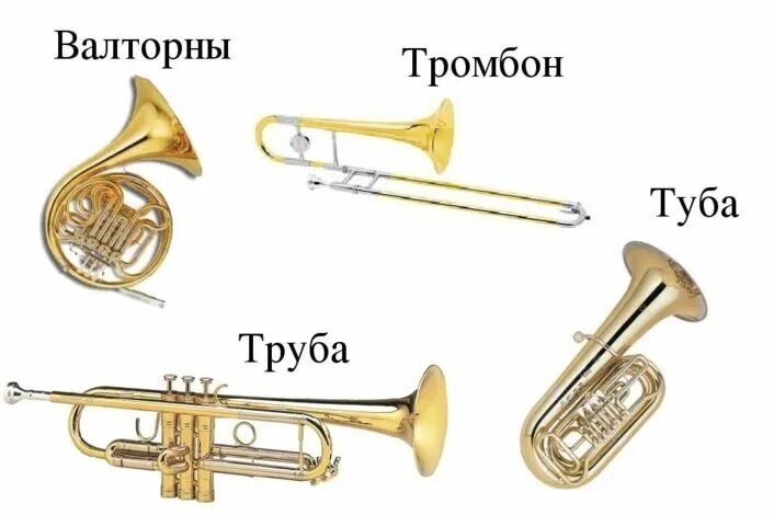 Медные духовые музыкальные инструменты названия и фото Духовые инструменты. Общеразвив. (СП ДШИ "Лира")