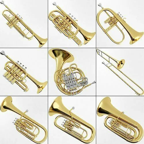 Медные духовые музыкальные инструменты названия и фото CLEAN YOUR TUBA OR BARITONE QUICKLY AND SAFELY eBay