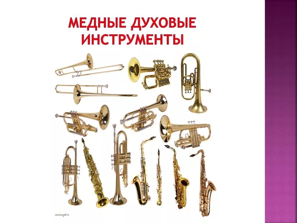 Медные духовые музыкальные инструменты названия и фото Медные духовые инструменты - Арт Минск.ру