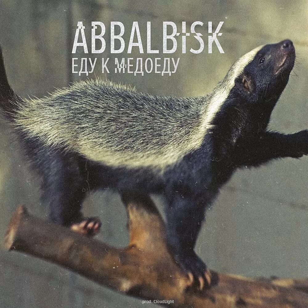 Медоед животное фото Abbalbisk - Еду к медоеду (Going to Honey Badger's) Lyrics Genius Lyrics