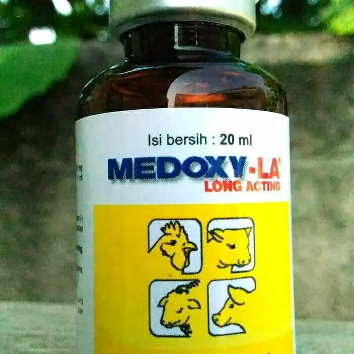 Медокси садовая ул 9б фото Dimana Beli STOP NGOROK-ANTI NGOROK-OBAT AYAM NGOROK-CEKREG-SNOT-OBAT SNOT-(UNTU