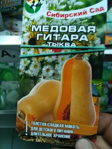 Медовая гитара тыква описание сорта фото Медовая гитара - Сорта ТЫКВ - описания, фото, отзывы - tomat-pomidor.com - форум