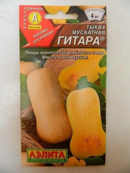 Медовая гитара тыква описание сорта фото Тыква Гитара Медовая, Испанская: описание и фото, отзывы, выращивание