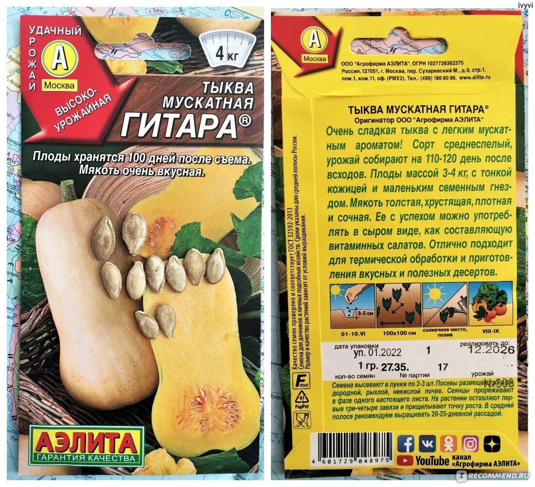 Медовая гитара тыква описание сорта фото Аэлита Тыква мускатная ГИТАРА - "Очень сладкая порционная тыква-гитара. Росла в 