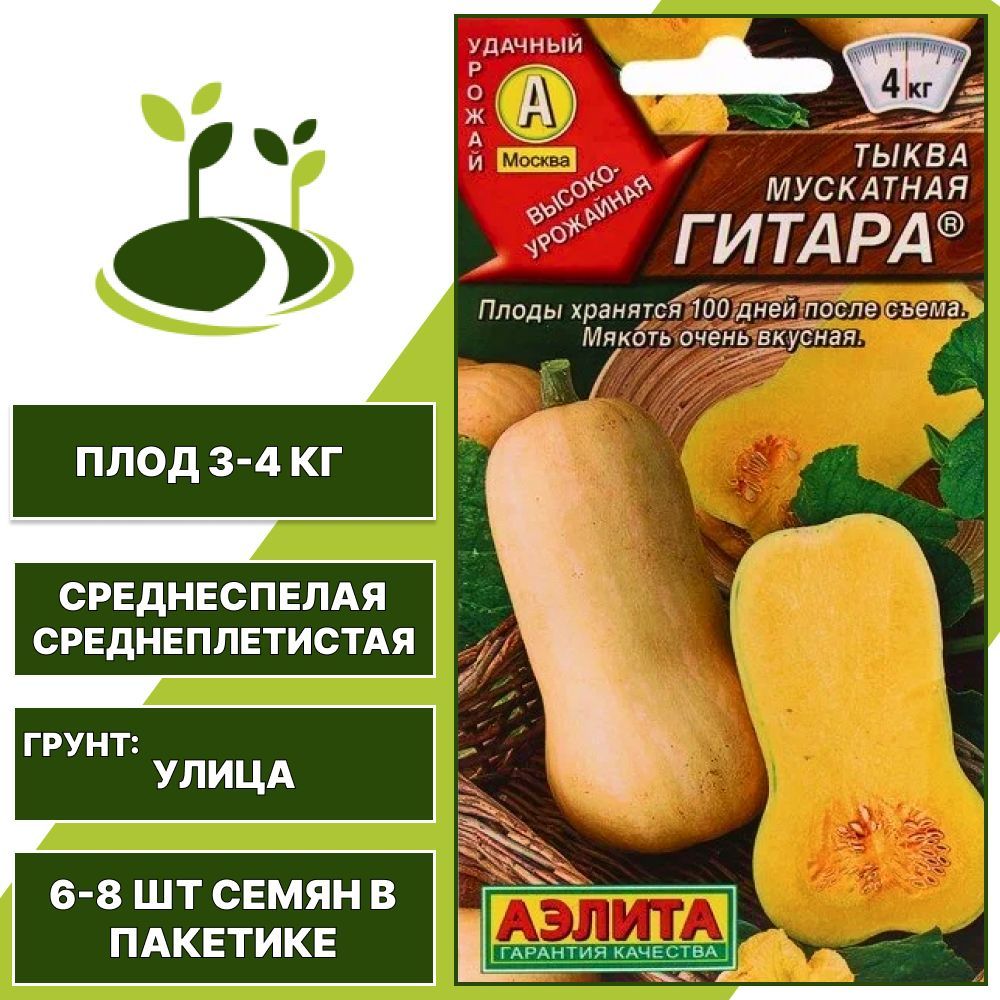 Медовая гитара тыква описание сорта фото Тыквы Агрофирма Аэлита Гитара тыква_1 - купить по выгодным ценам в интернет-мага