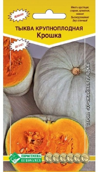 Медовая крошка тыква отзывы описание сорта фото Тыквы Евросемена Тыква Крошка - купить по выгодным ценам в интернет-магазине OZO