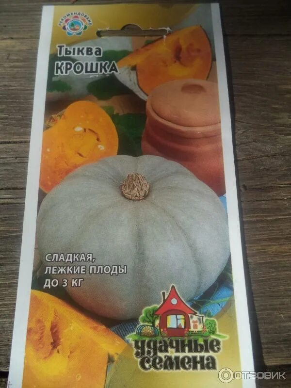 Медовая крошка тыква отзывы описание сорта фото Отзыв о Семена тыквы сорта Аэлита "Крошка" Симпатичная и вкусная