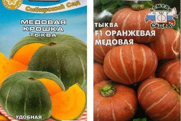 Медовая крошка тыква отзывы описание сорта фото Тыква крошка (медовая): характеристика и описание сорта, отзывы тех, кто его выр