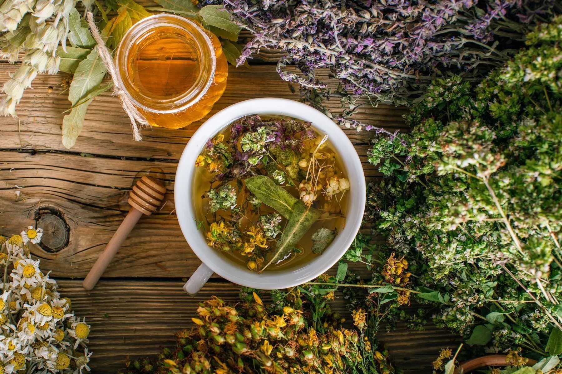Медовая трава фото ЧАЙНЫЕ ТРАВЫ И ЛИСТЬЯ ДЕРЕВЬЕВ Блог Здоровые продукты от "Живой ЭКОмагазин"