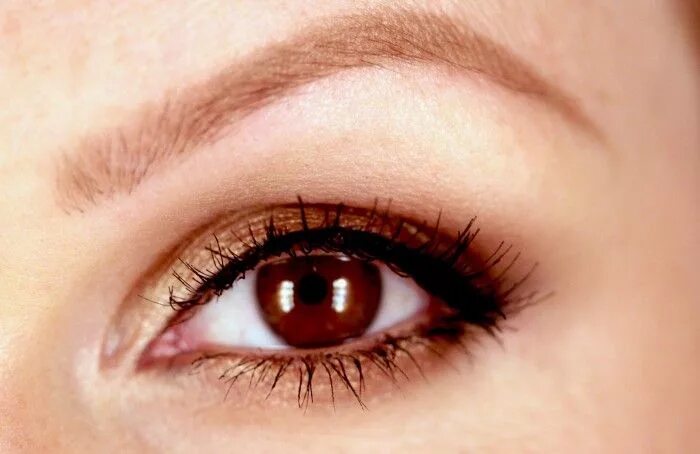 Медово карие глаза фото Makeup Tutorial: Urban Decay Naked 2 Urban decay naked, Makeup, Makeup tutorial