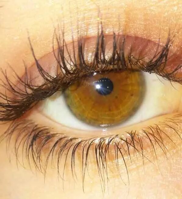 Медово карие глаза фото Pin on Art Inspiration/references Pretty eyes color, Honey eyes color, Beautiful