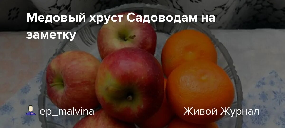 Медовый хруст яблоня фото отзывы Медовый хруст Садоводам на заметку: ep_malvina - ЖЖ