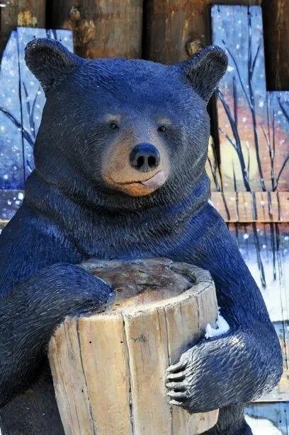 Медовый медведь фото Bear With Paw In Honey Pot Free Stock Photo Paw, Bear, Honey pot