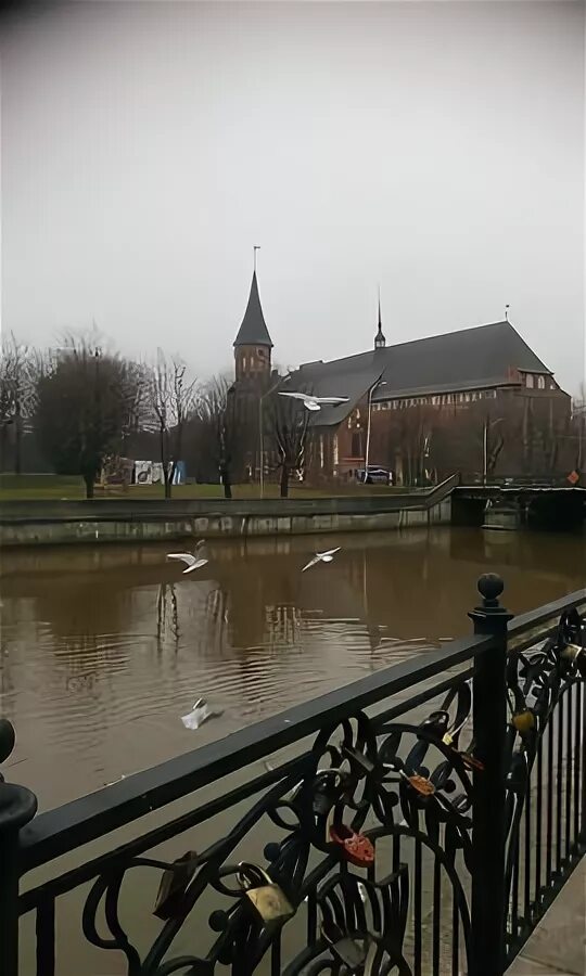 Медовый мост калининград фото Медовый мост - Picture of Honey Bridge, Kaliningrad - Tripadvisor