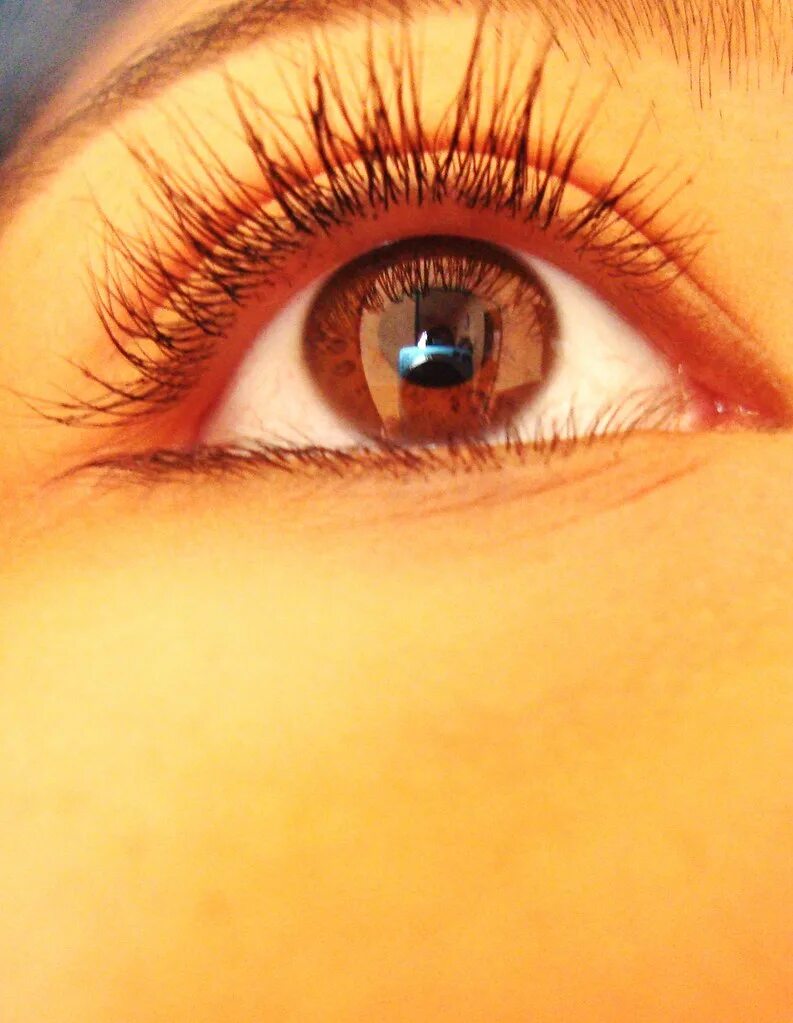 Медовый цвет глаз фото Eye Color Honey ♥ Ellizabethe ♥ Flickr
