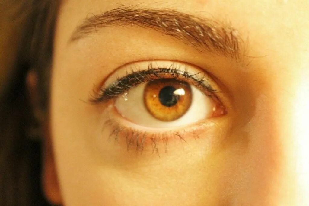 Медовый цвет глаз фото Amber Eye. Amber eyes, Amber eyes color, Eye color