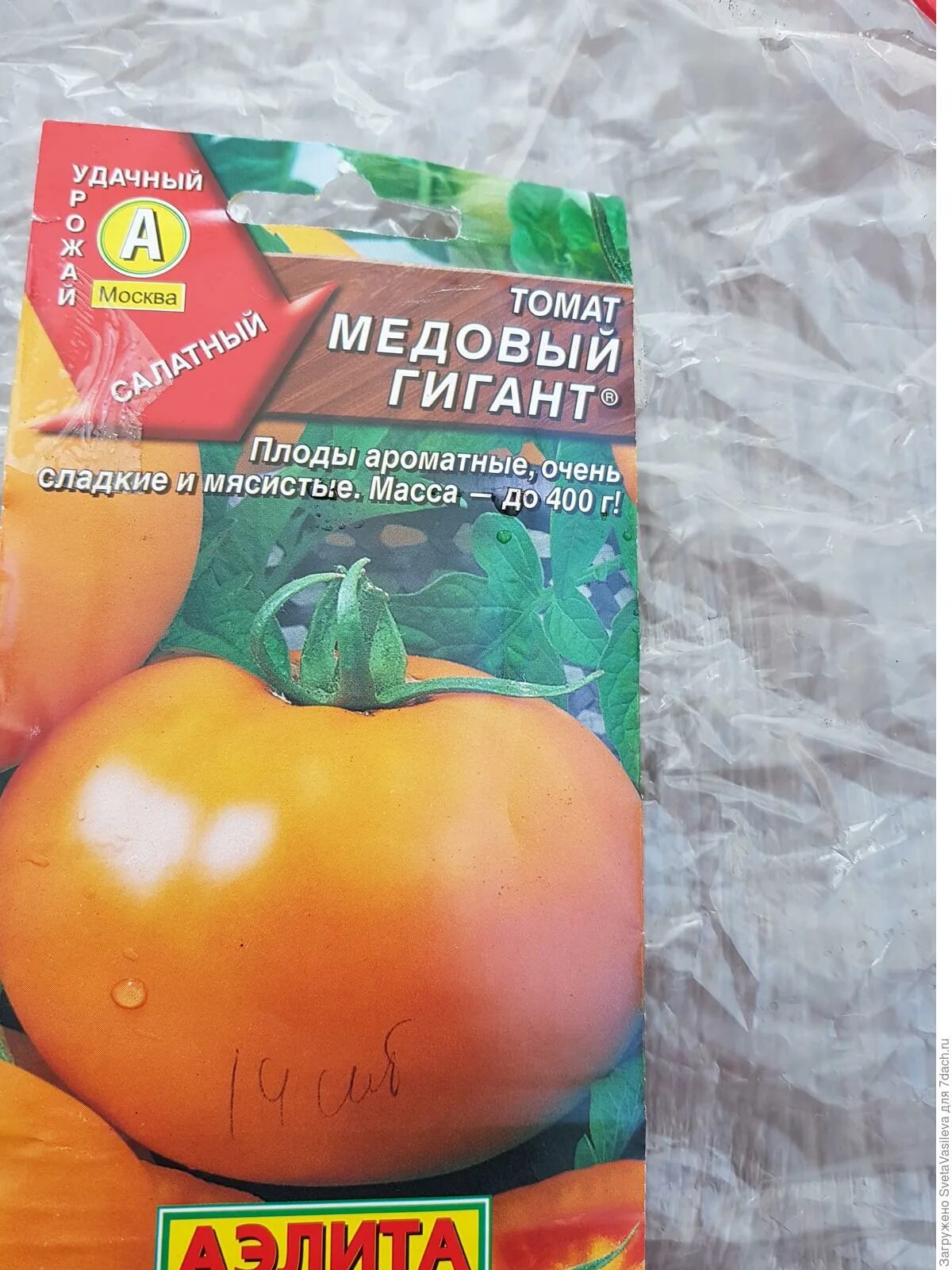 Медовый томат описание фото отзывы Томат Медовый гигант. I этап. Посев