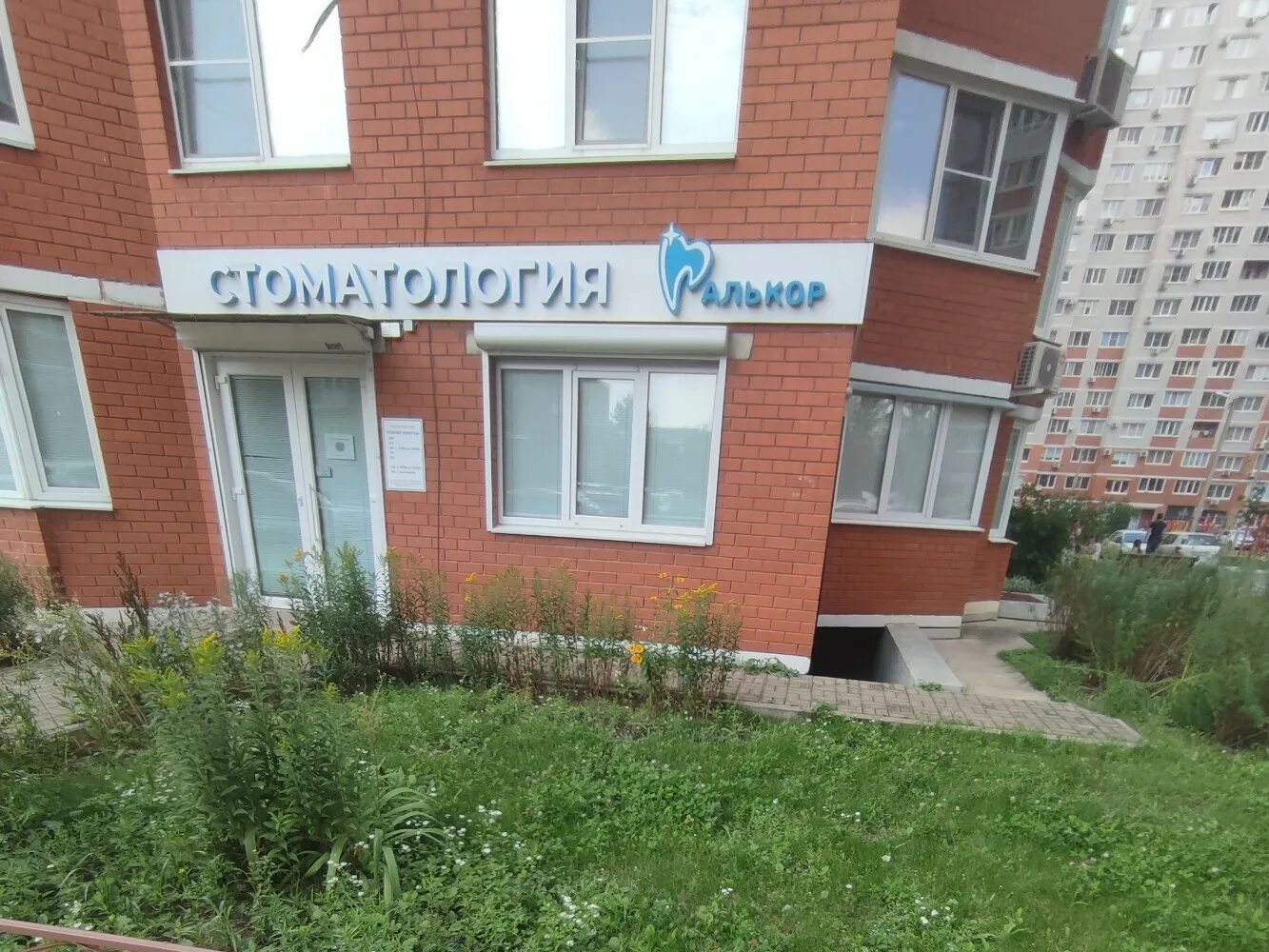 Медпрофика ул владимира невского 38а фото Особенности стоматологической клиники Алькор в Воронеже, улица Владимира Невског