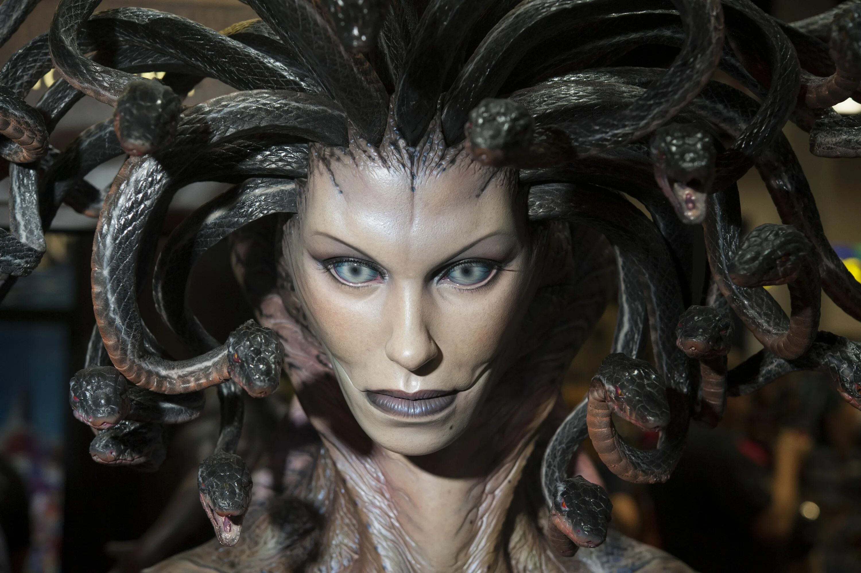 Медуза горгона фото в полный рост Newly discovered Medusa Virus transforms amoebas into stone SYFY WIRE